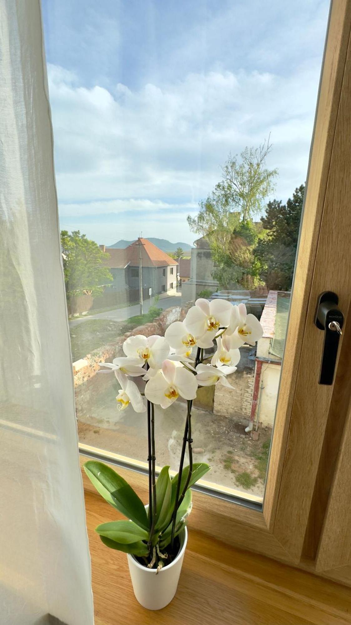 Villa Popice S Vyhledem Na Palavu Εξωτερικό φωτογραφία